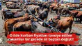 O ilde kurban fiyatları tavsiye edilen rakamlar bir gecede sil baştan değişti!
