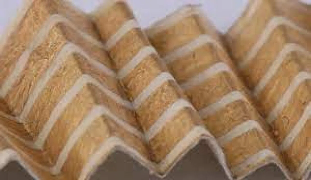 Çevre Dostu Mantar Çipleri, Elektronik Devrimde Öncü Rol Oynuyor!