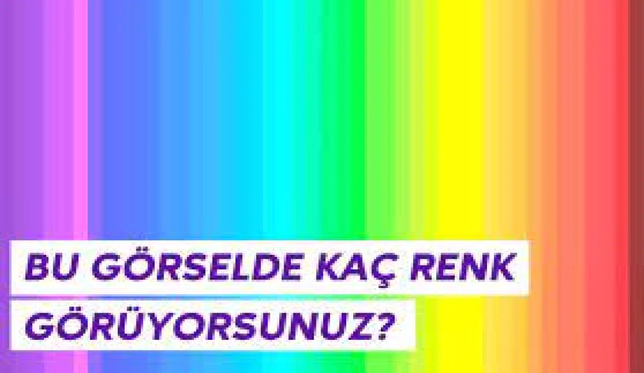 Bu resimde kaç renk görüyorsunuz?