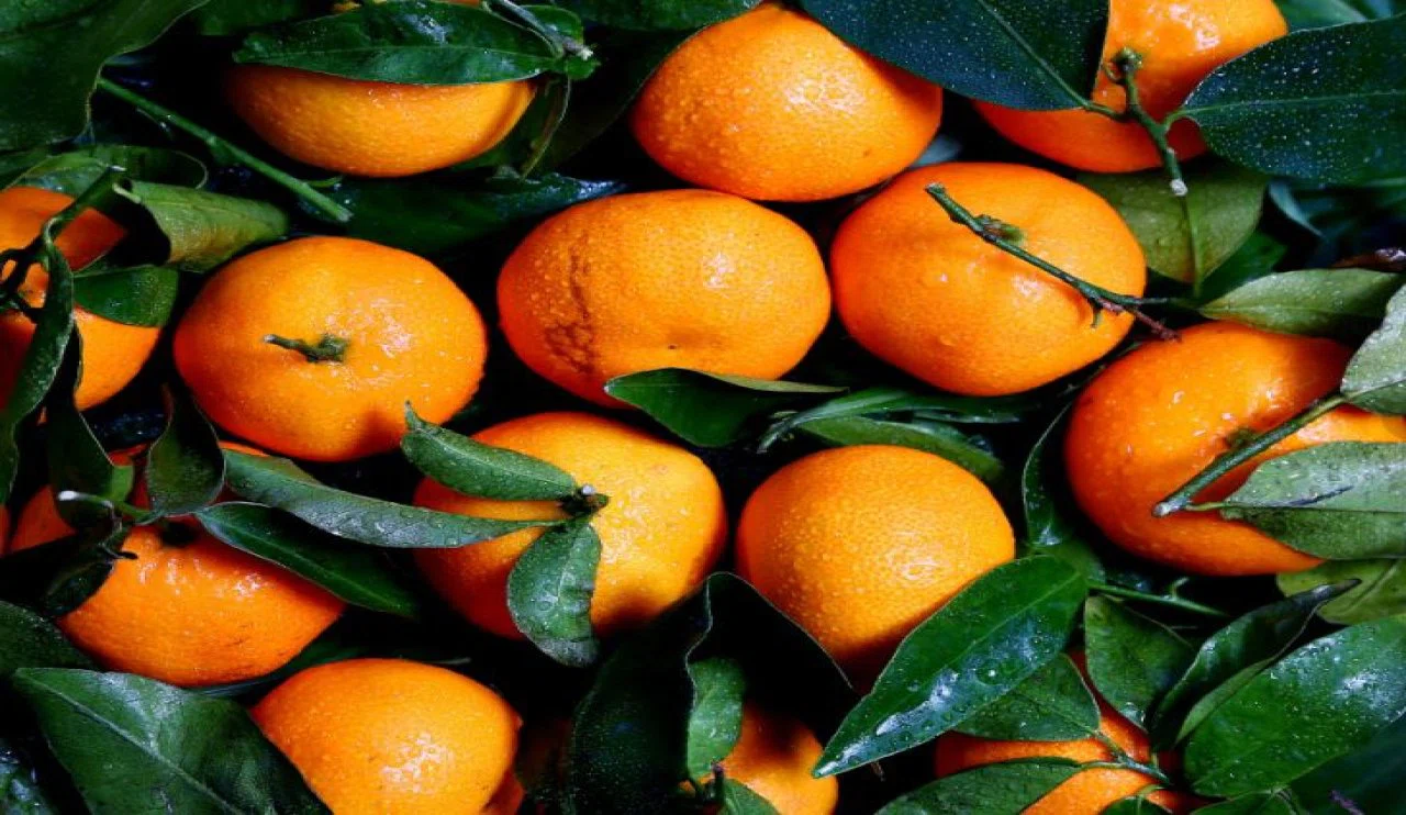 Mandalinanın gözlere faydalarını biliyor muydunuz?