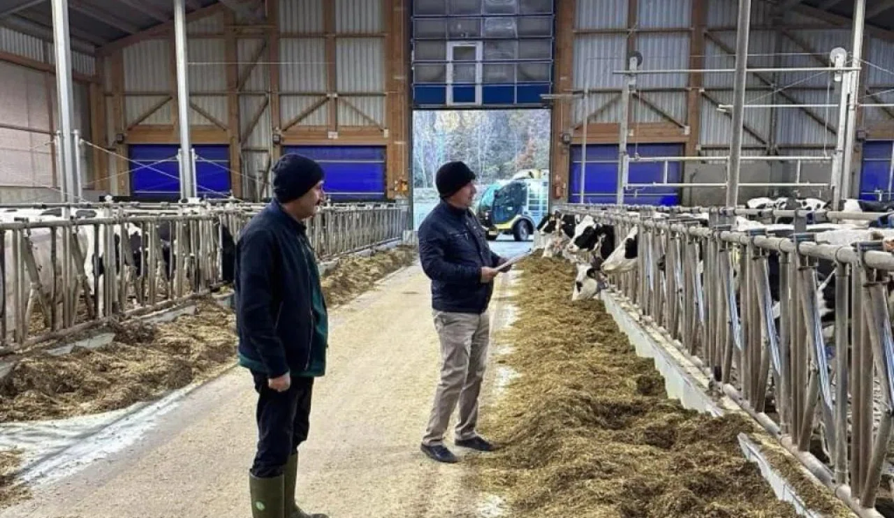 Konyalı yetiştiriciler dikkat! Hesabınıza para yatabilir...