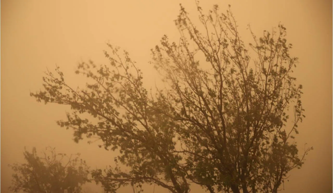 Türkiye, çöl tozunun etkisinde kalacak
