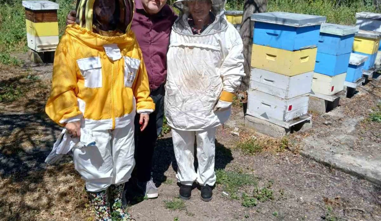 Arıcılıkta teknolojiye geçilecek! Çalışmalar başladı...
