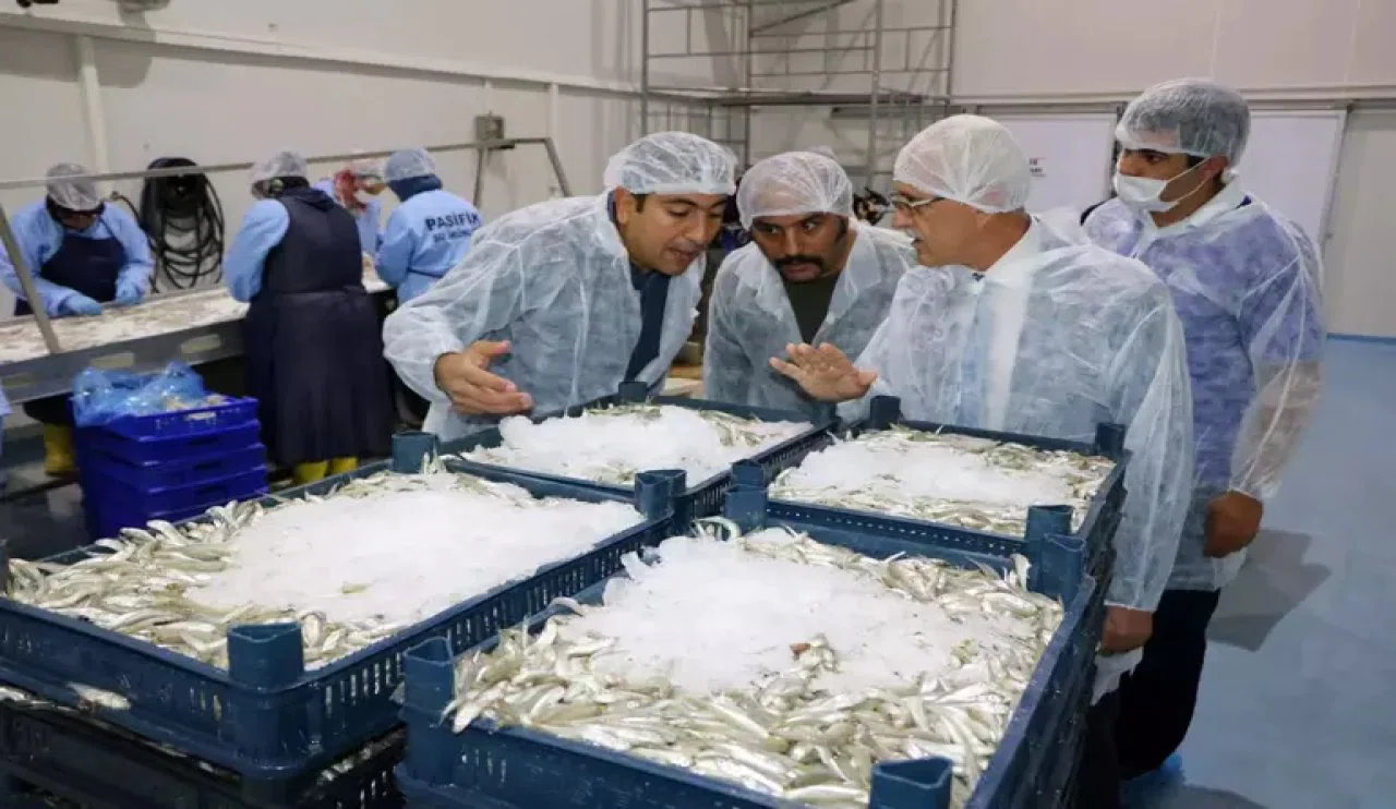 Denizsiz Bozkırda tatlı su zengini: Gümüş balığı avı Avrupa'yı fethetti!