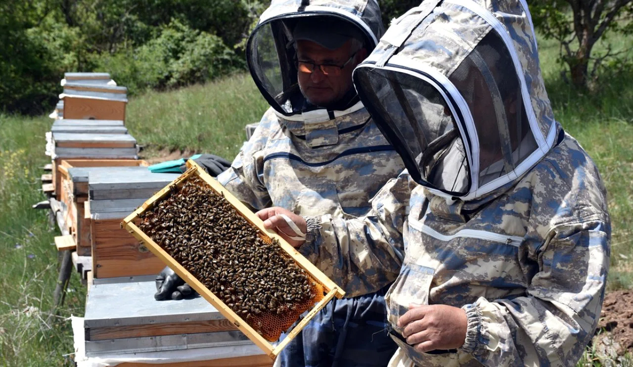 Konya Ovası Projesi (KOP) destekliyor! Onlar 1744 rakımlı yerde bal üretiyor...