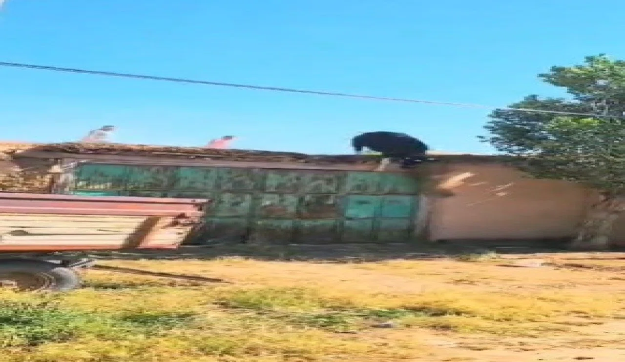 Konya'da filmleri aratmayan kurbanlık koşturmacası! Bakın sebebi neymiş...