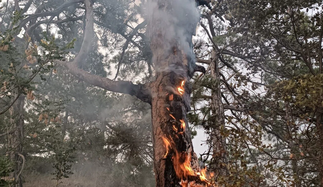 Felaketi son anda önledi işte o anlar