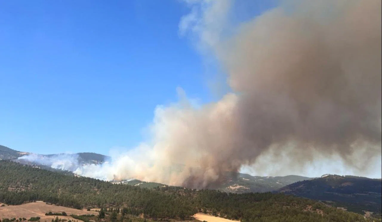 Orman yangınında köydeki küçük çocuklardan duygulandıran hareket!