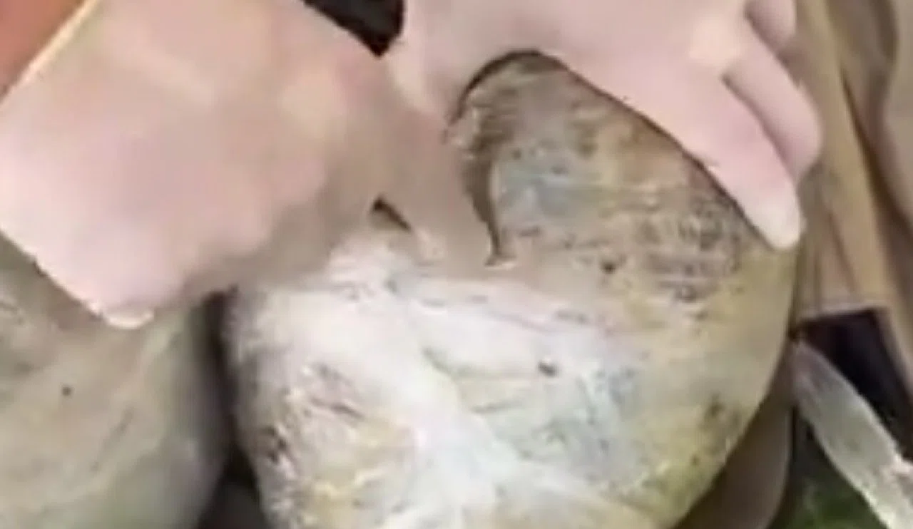 Tren yolcusundan kilolarca uyuşturucu ele geçirildi!