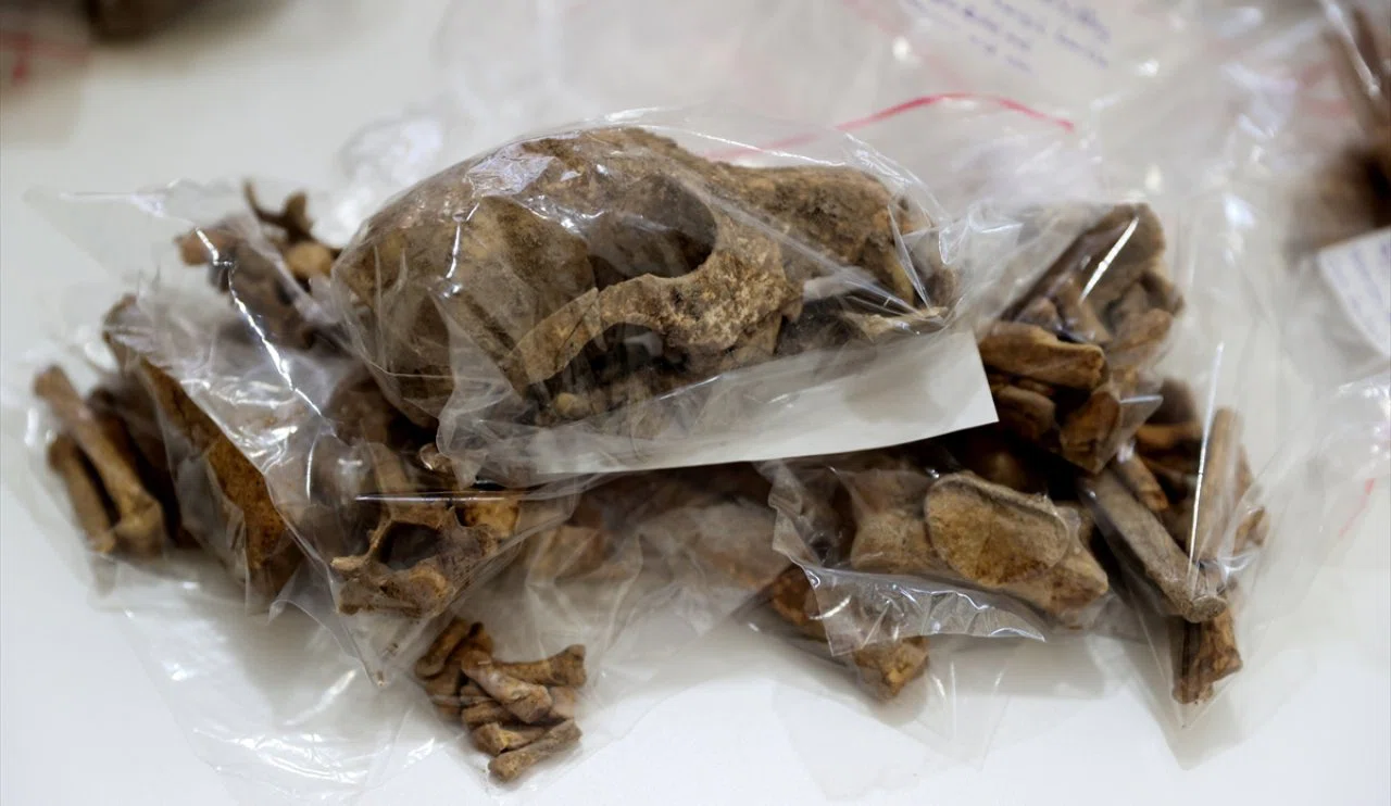 Konya'da "Bebek iskeletleri" bulundu