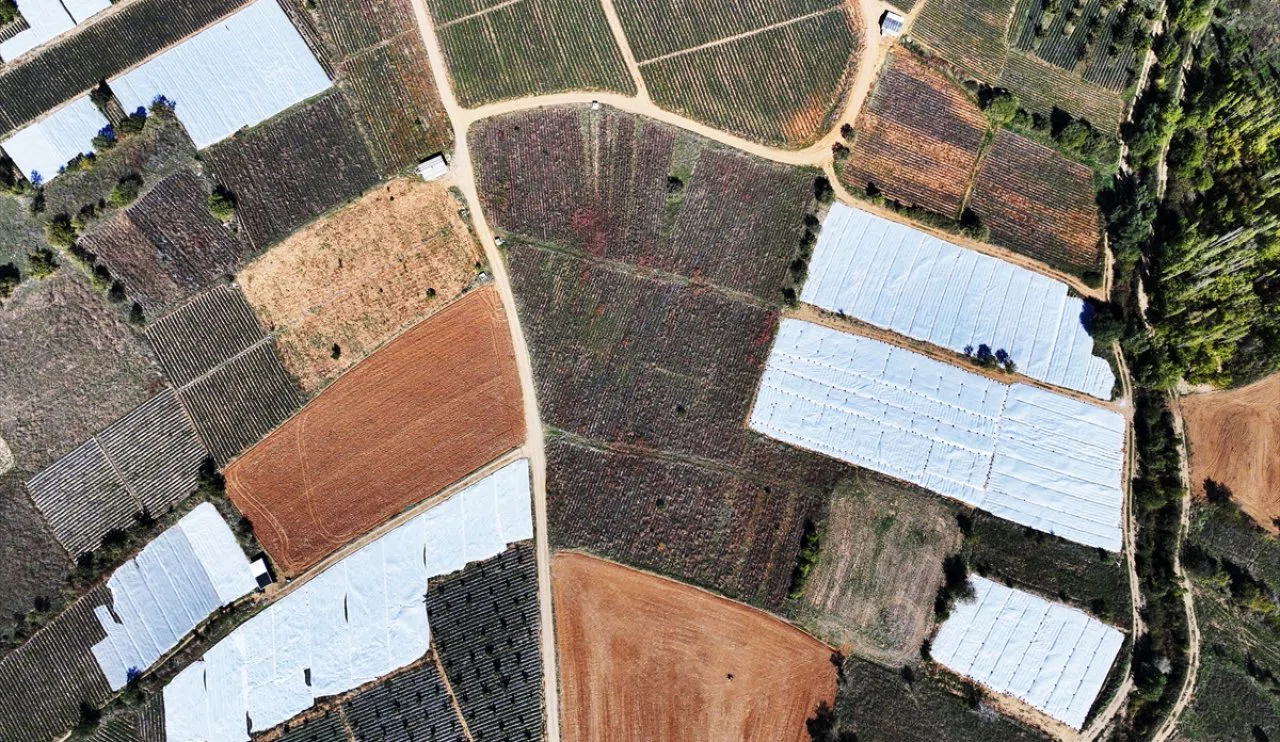 Konya'nın ilk tescilli ürünü Norveç'e kadar gidiyor