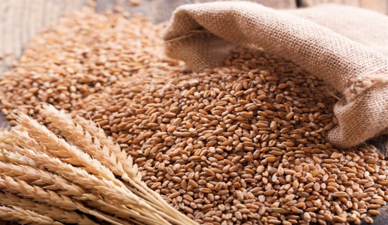 Konya Ticaret Borsası anlık hububat fiyatları (23.12.2024)