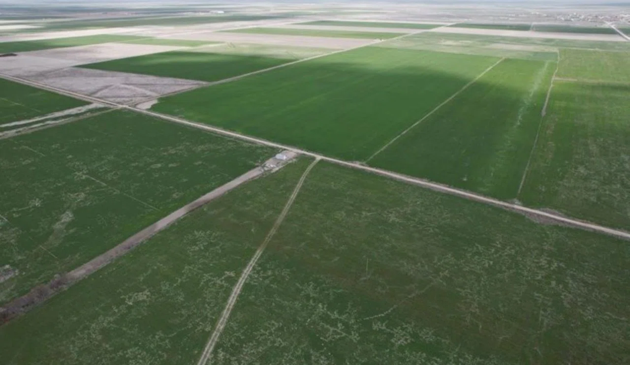 Konya Ovası’nda obruk tehlikesi!
