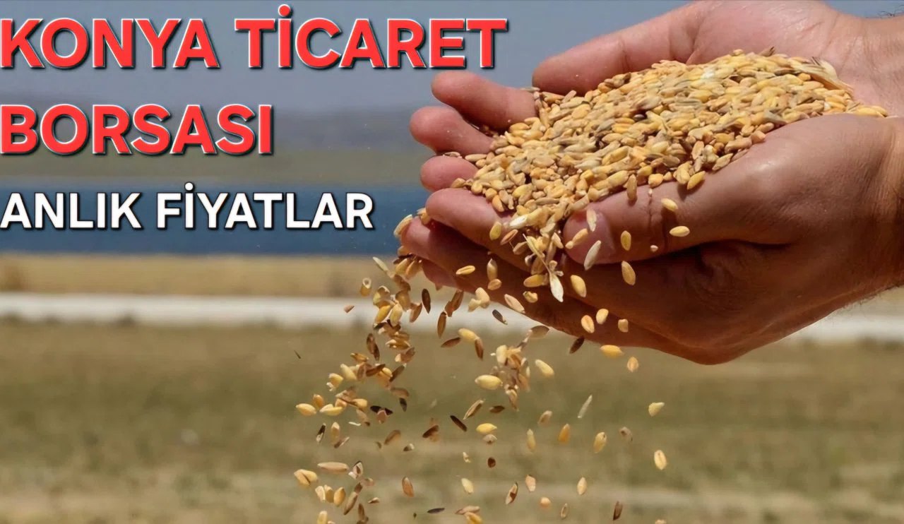 Konya Ticaret Borsası anlık fiyatlar (19.02.2025)