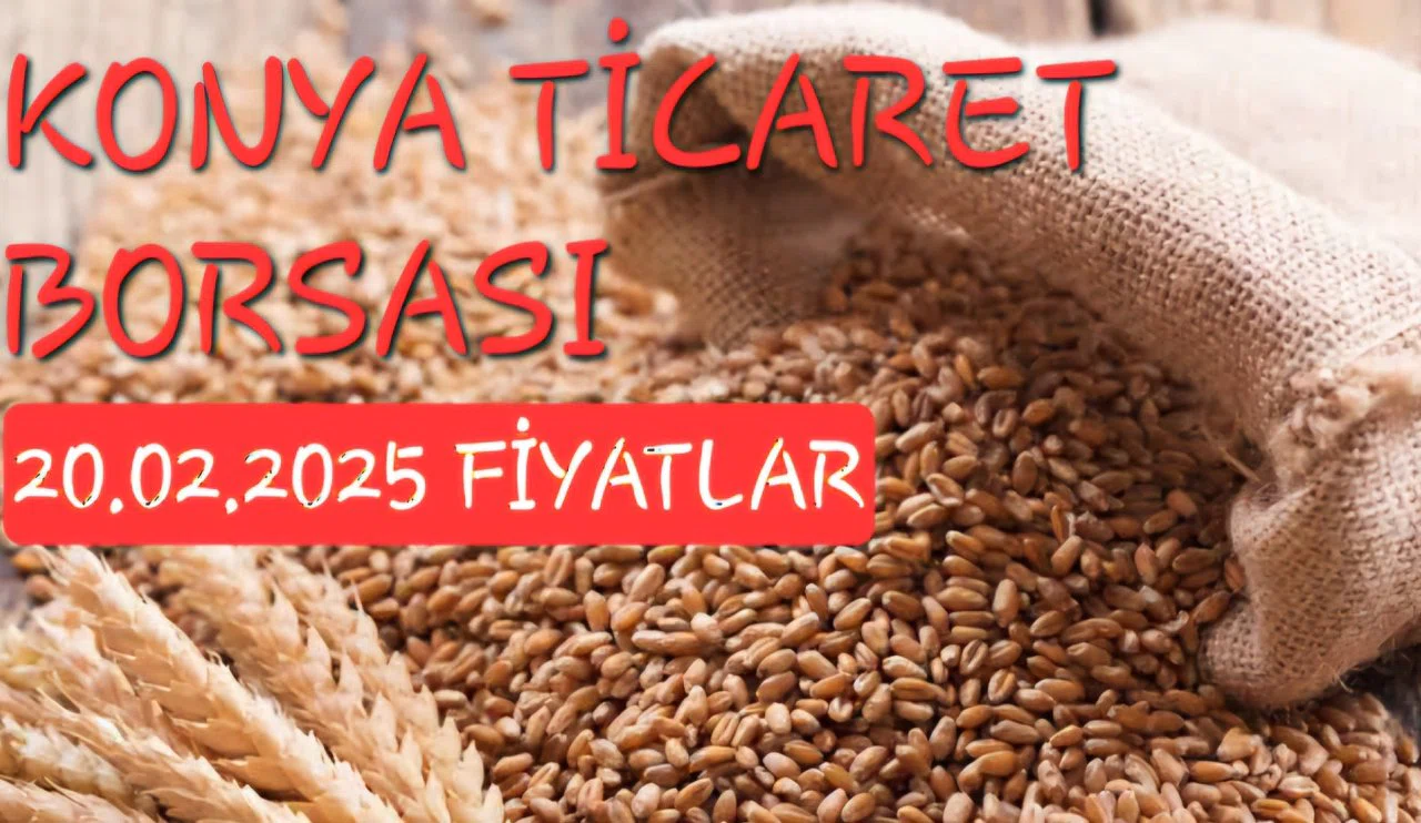 Konya Ticaret Borsası anlık fiyatlar (20.02.2025)