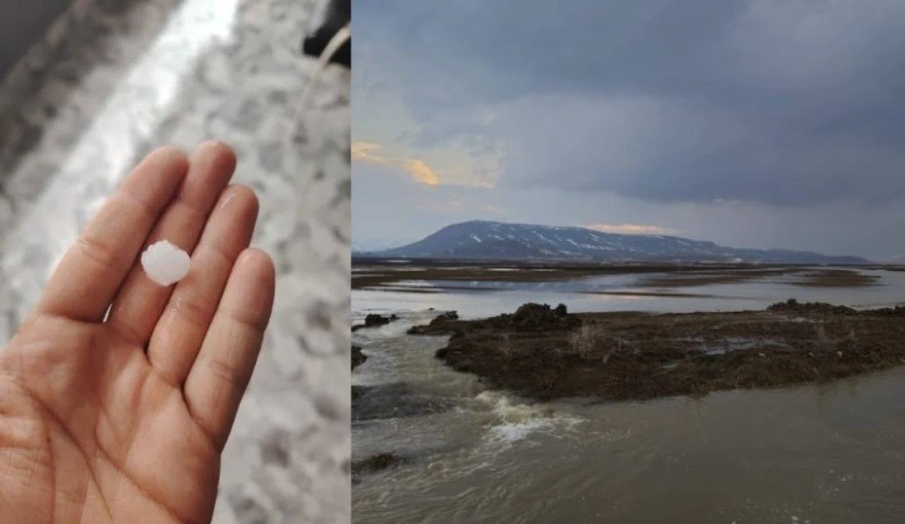 Şiddetli yağış ve doğa olayları tarım arazilerine büyük zarar verdi