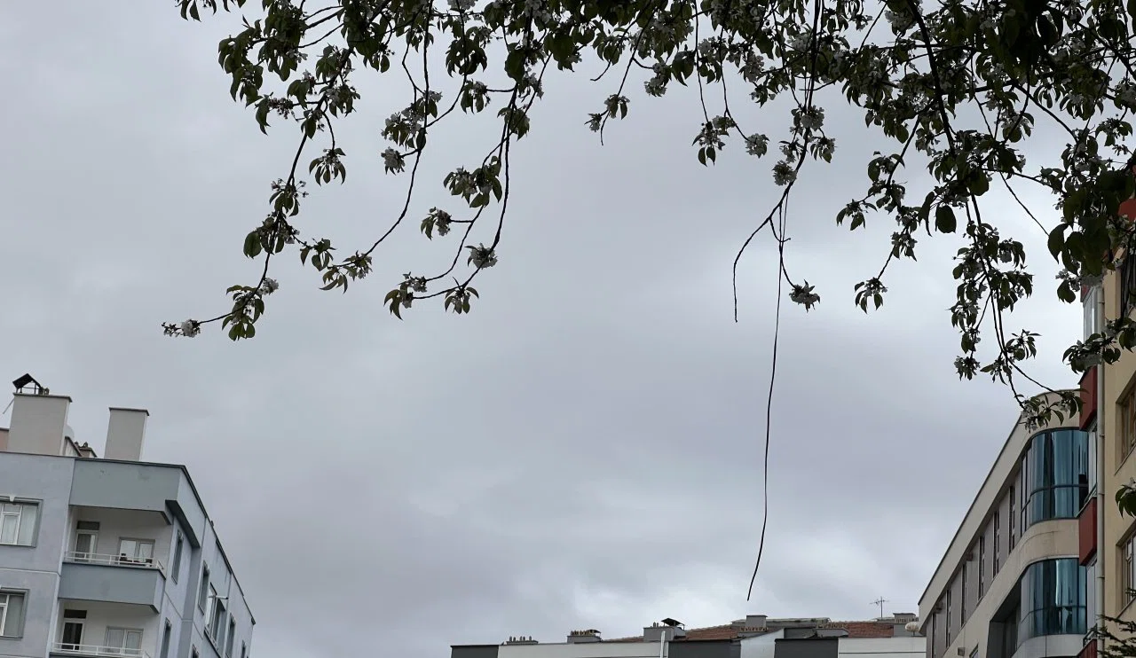 Konya'ya yağış müjdesi! Çiftçiler umutlandı