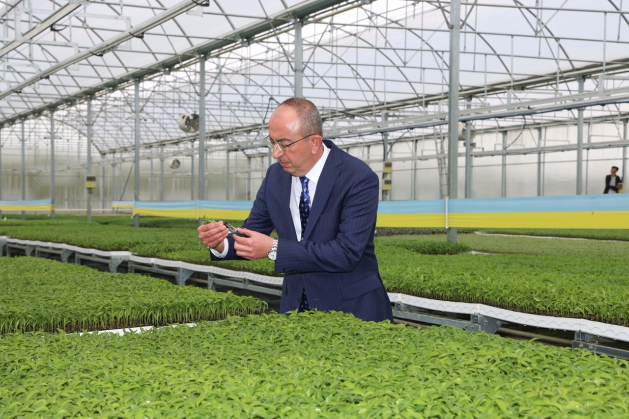 Konya’da ilk ve tek! Üreticiler fide satışları başladı