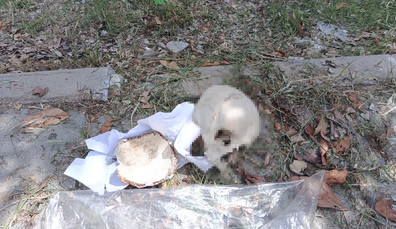 Çöpten Kafatası Çıktı: Bir çocuğa ait olabilir
