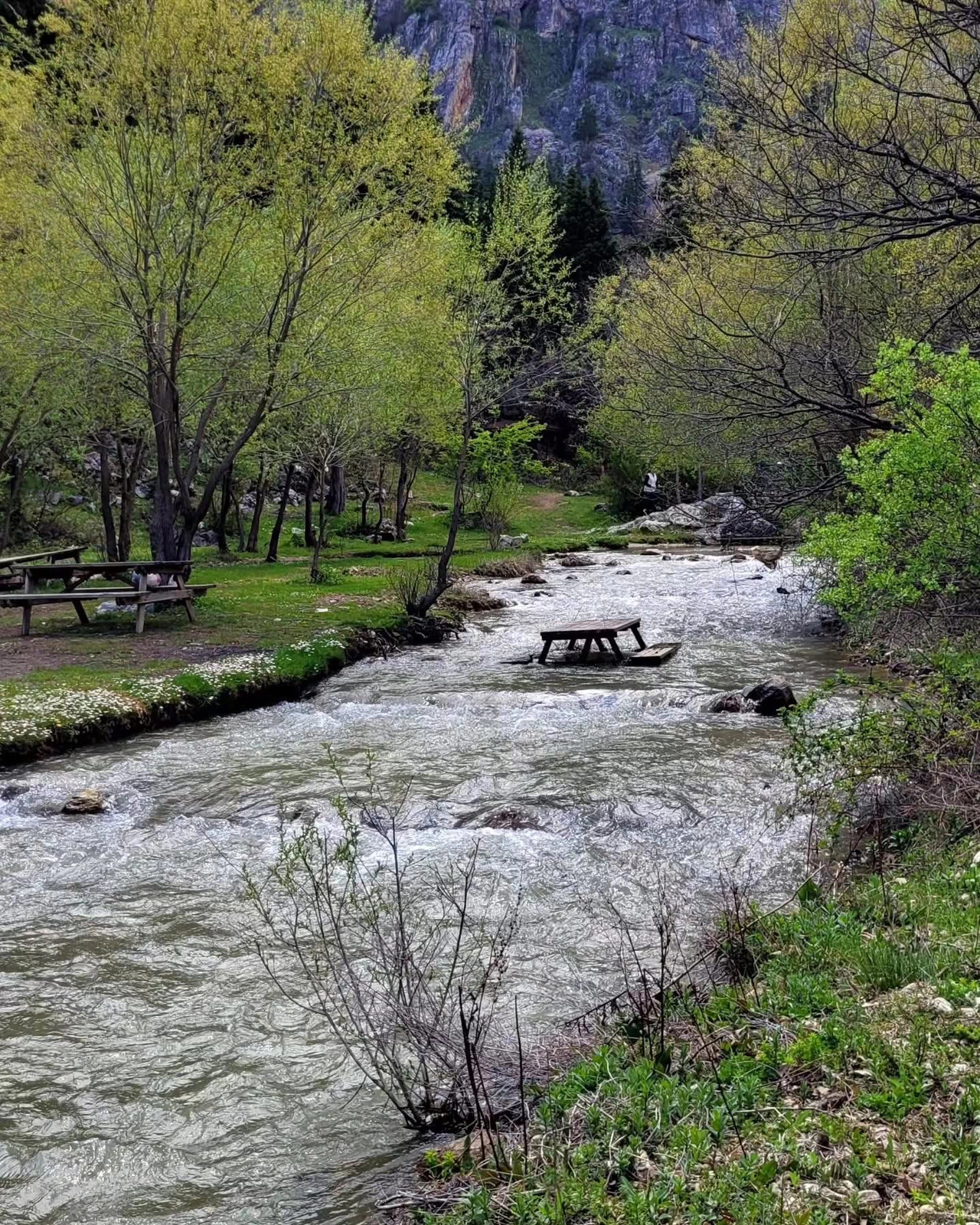 Burası Karadeniz değil Konya! Doğal güzellik 140 km mesafede bulunuyor
