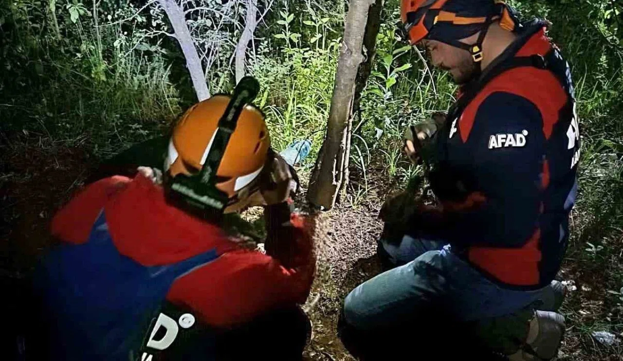 Kayıp vatandaş ormanda ölü bulundu