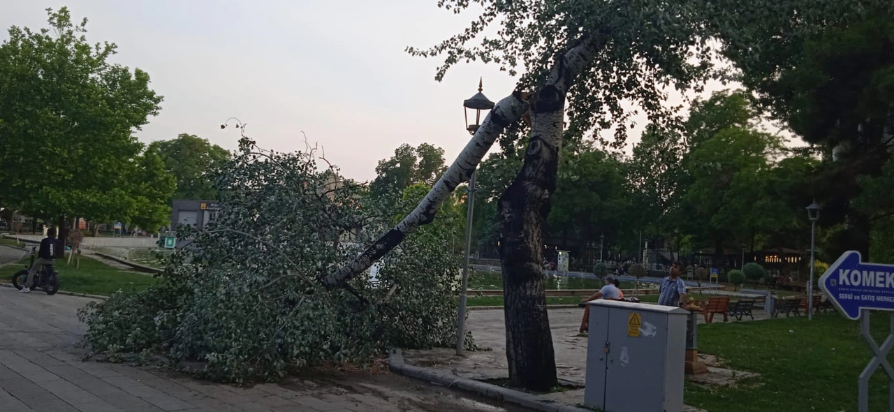 Konya’da şiddetli yağış başladı! Fırtına ağaçları devirdi