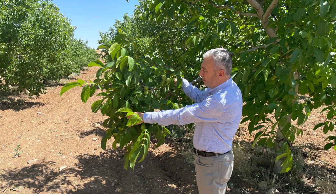 Üreticiye Birebir Destek! Beyşehir’de Tarımsal Üretime Yakın Markaj
