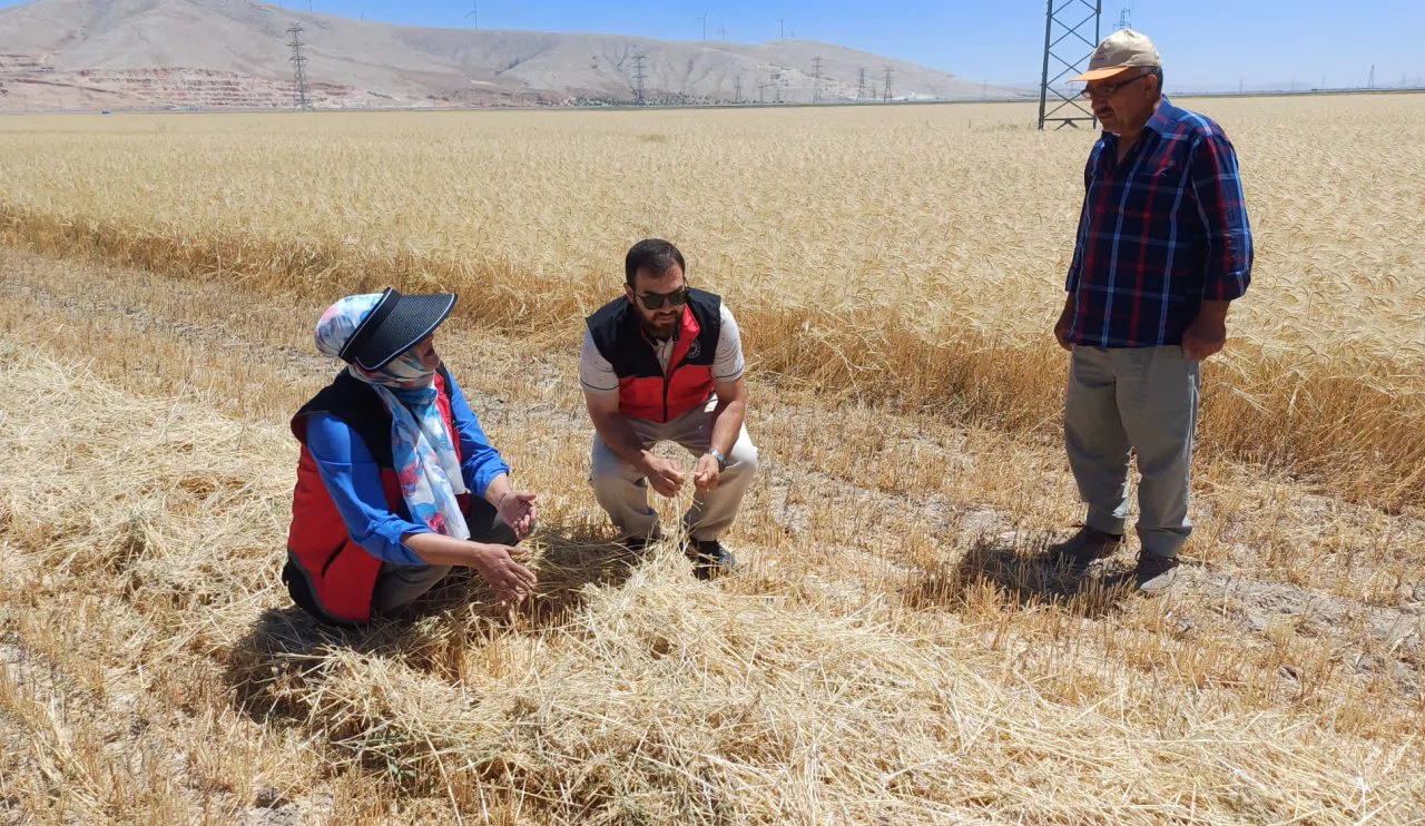 Selçuklu’da Hasat ve Biçerdöver Kontrolleri Sürüyor