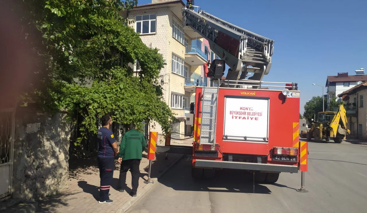 Beyşehir'de çatıda mahsur kalan kedi için itfaiye seferber oldu