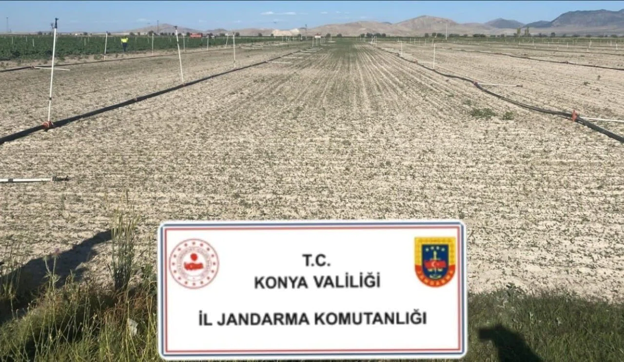 Konya’da jandarmadan zehir tacirlerine ağır darbe