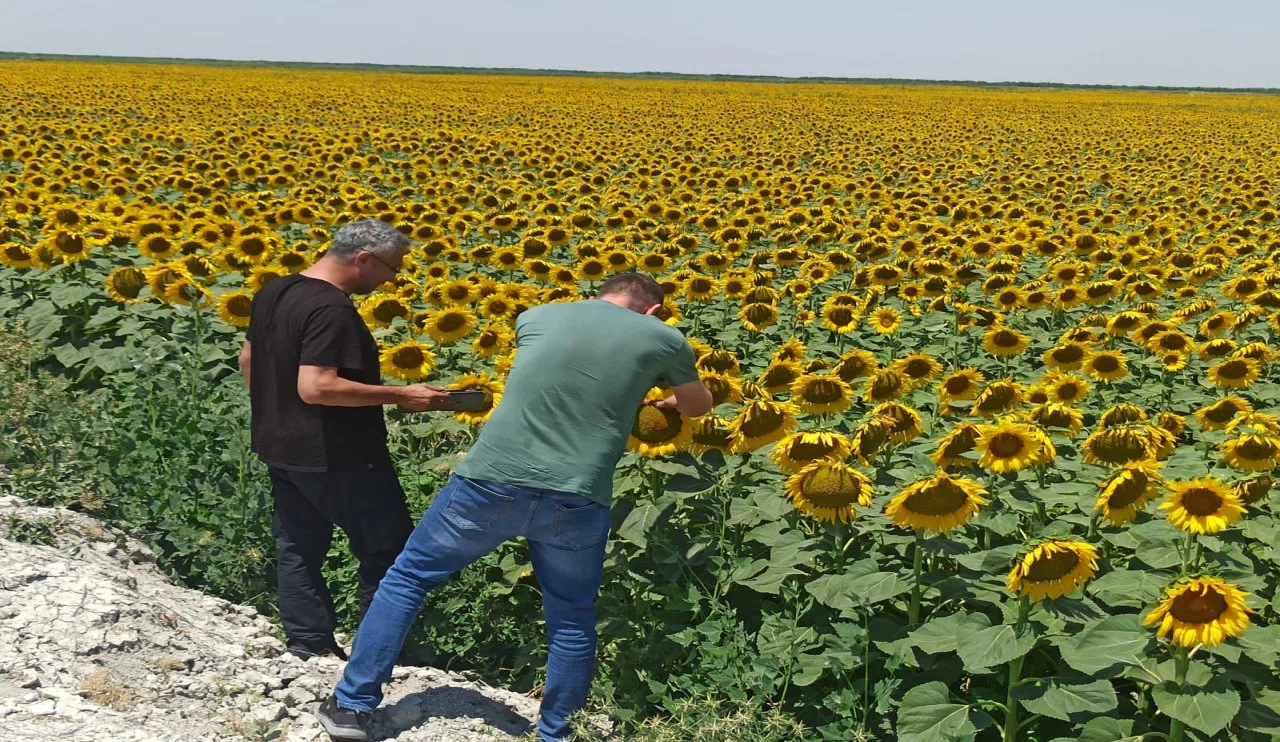 Üretimde planlama dönemi! Konya Karatay’da tarım arazileri denetleniyor
