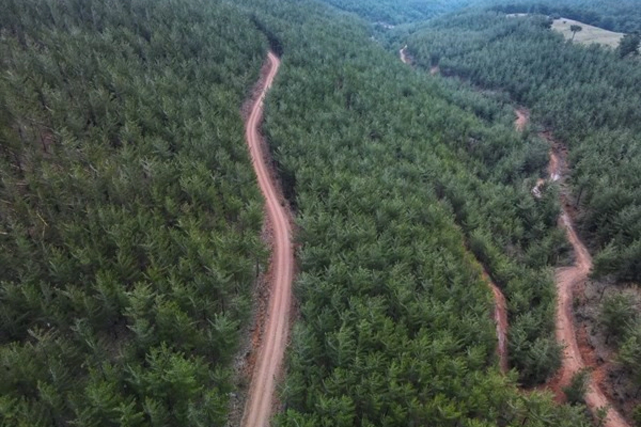 Konya’da bu alanlara girişler yasaklandı!