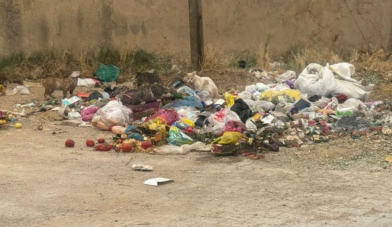 Konya'ya yakışmayan görüntü! Her yer çöp yığını