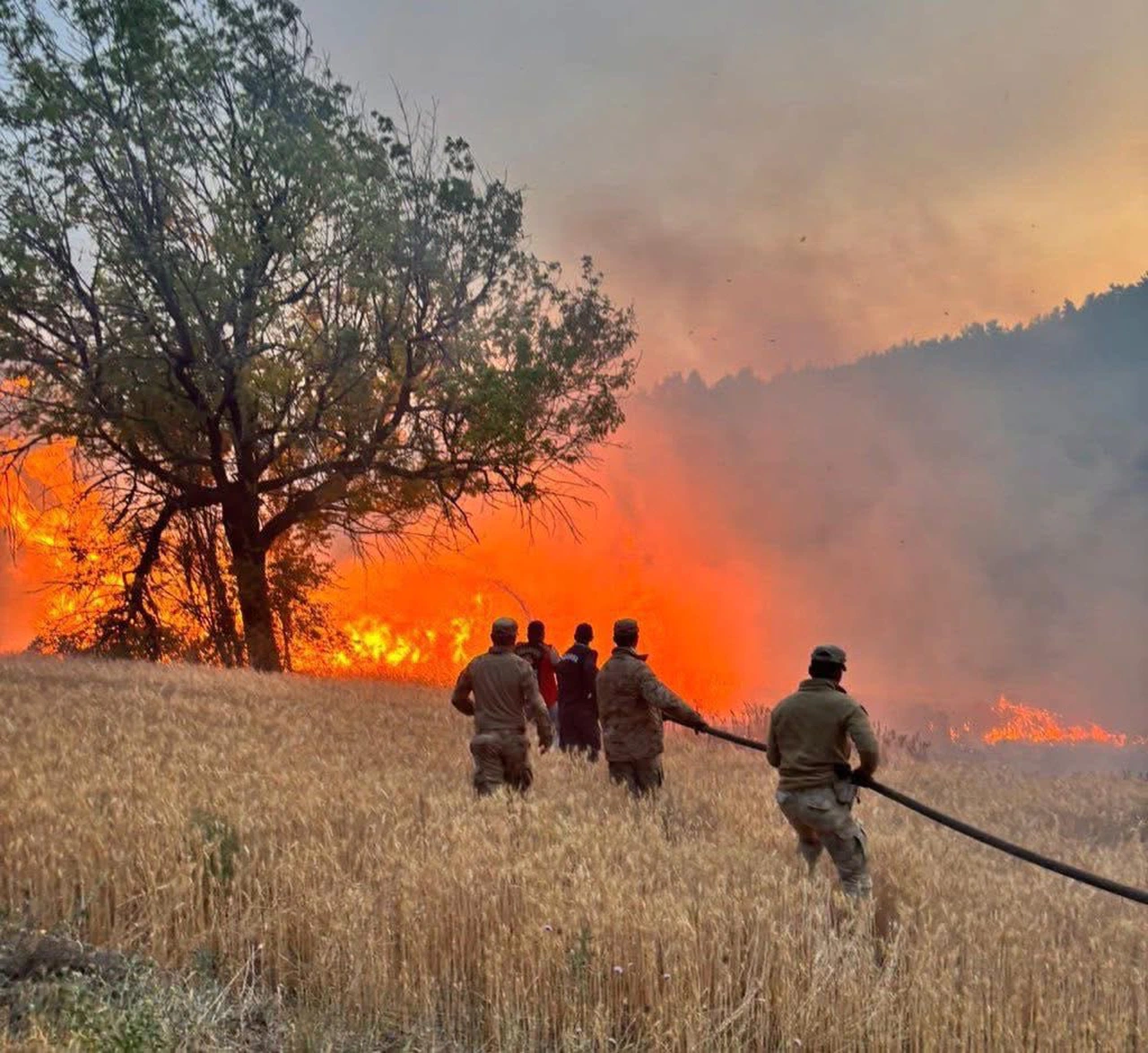 Bakan Yerlikaya’dan Konya’daki dev yangına ilişkin açıklama