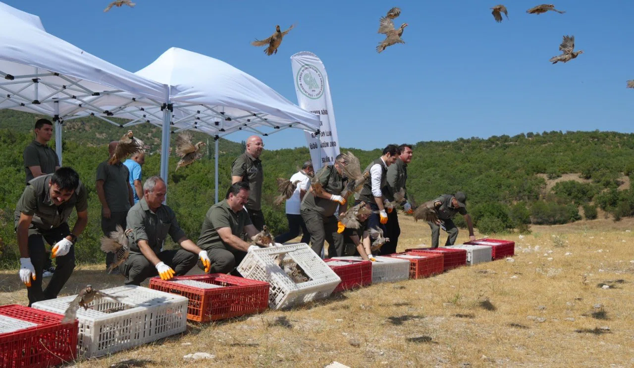 Konya'dan destek! Kenelere karşı doğal mücadele devam ediyor