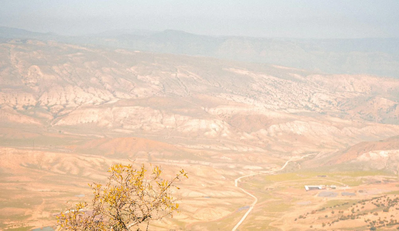 Toprağın sessiz çöküşü: Uzun süre ekilmeyen tarlalar tehlike saçıyor