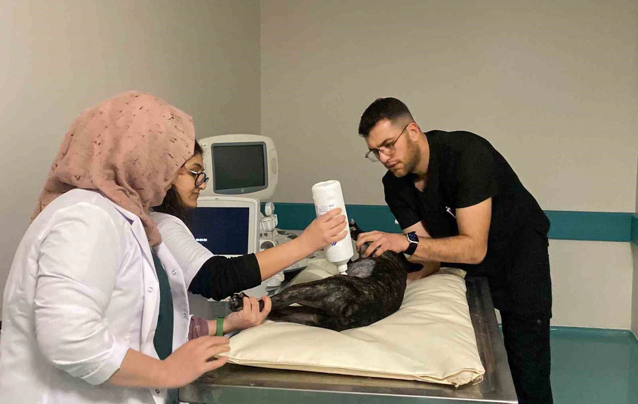 Konya’nın ilk ve tek özel hayvan hastanesi hizmete girdi