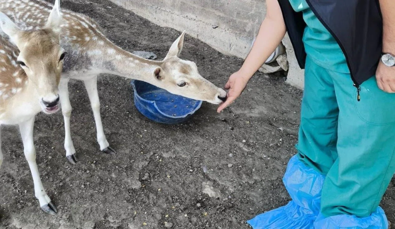 Konya Büyükşehir Belediyesi'nden Sarayköy’e teknik destek