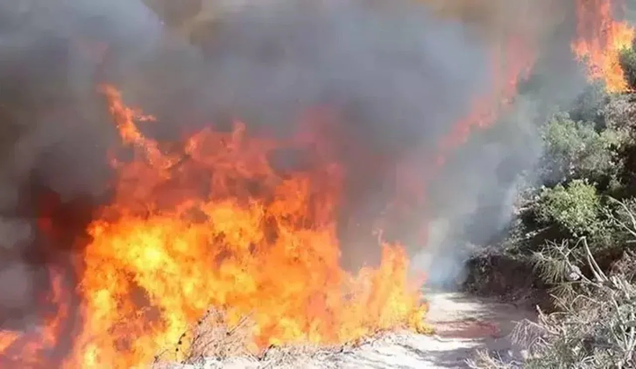 Karaman Ermenek'te orman yangını!