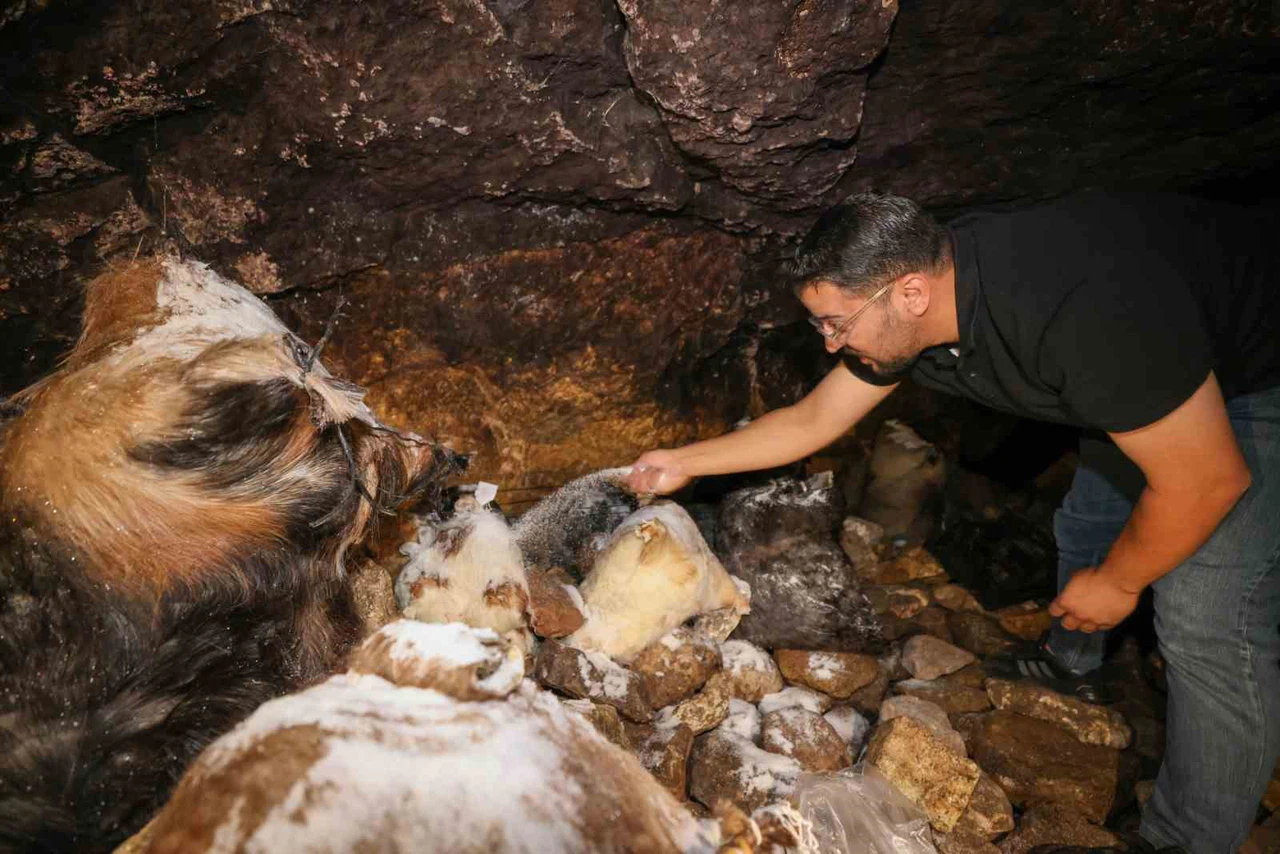 Konya’da üretilen peynirde mağara detayı! Şölen düzenlenecek