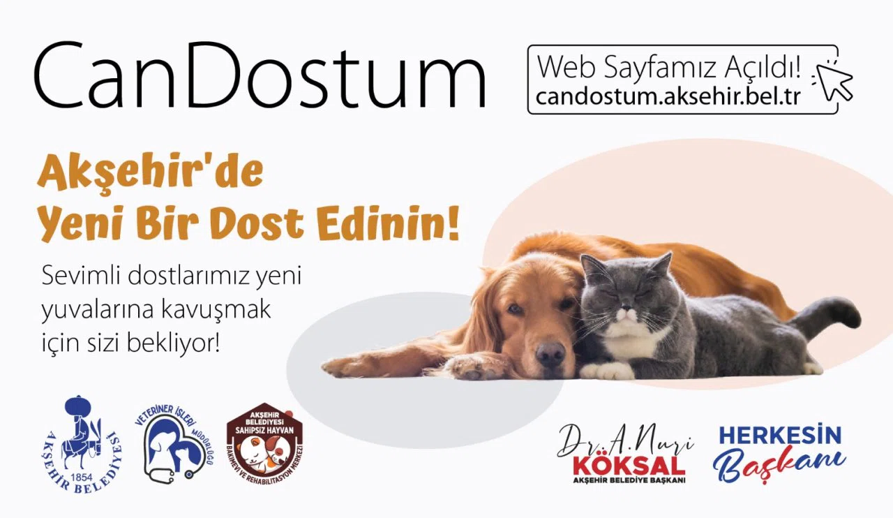Akşehir’de sokak hayvanları için yeni çalışma