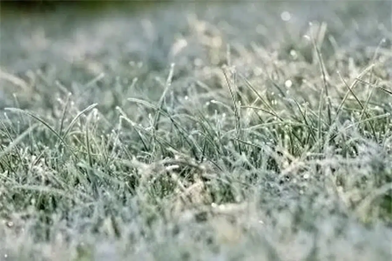 Konya’da donduran gece! Bu gece içinde uyarı geldi