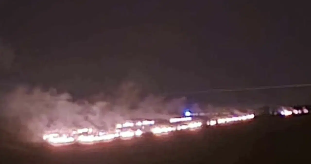 Konya’da orman yangını çıktı!