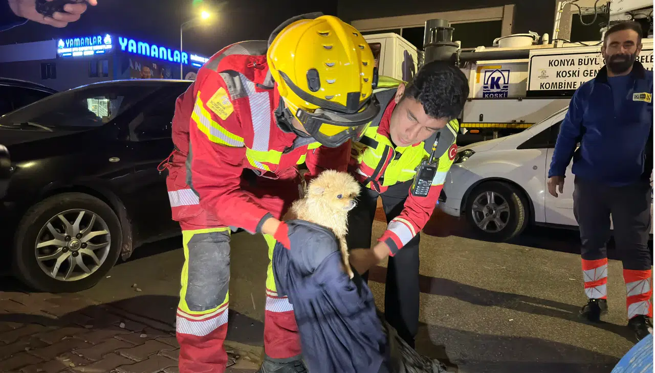 Konya'da 6 saat boyunca mahsur kalan köpek için Büyükşehir harekete geçti!