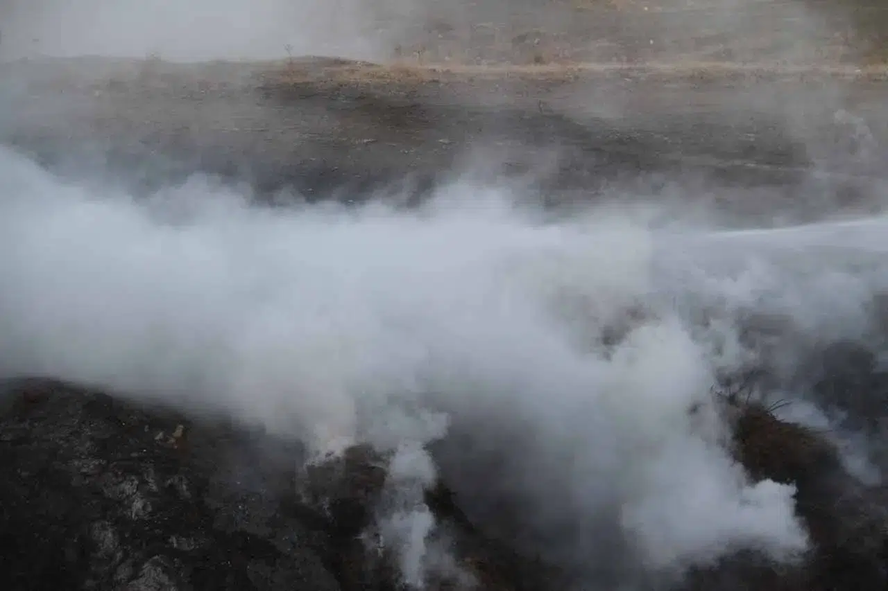 Konya’da ormanlık alanda yangın!
