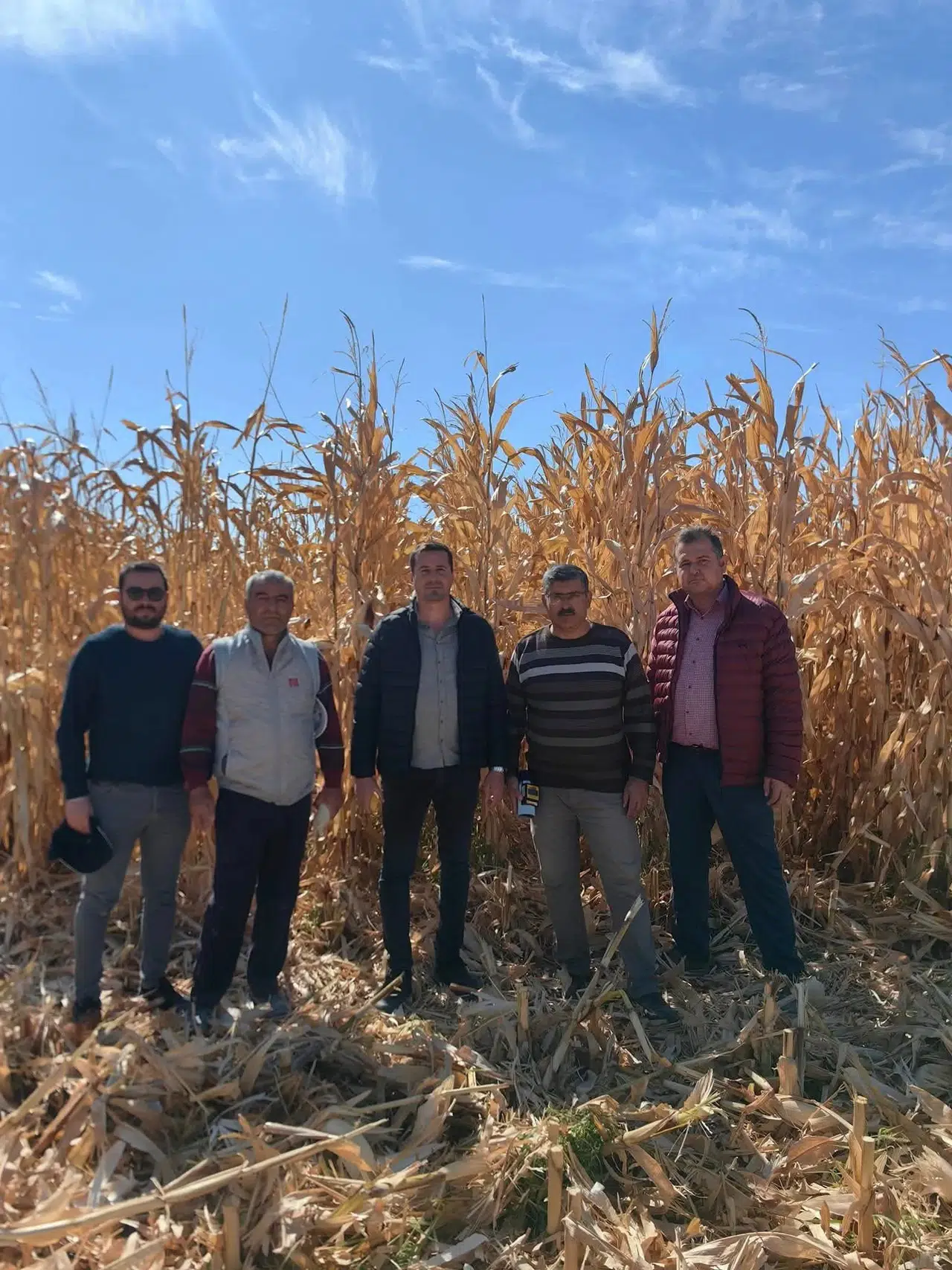 Konya’da pancar, patates ve mısır ile ilgili kritik inceleme