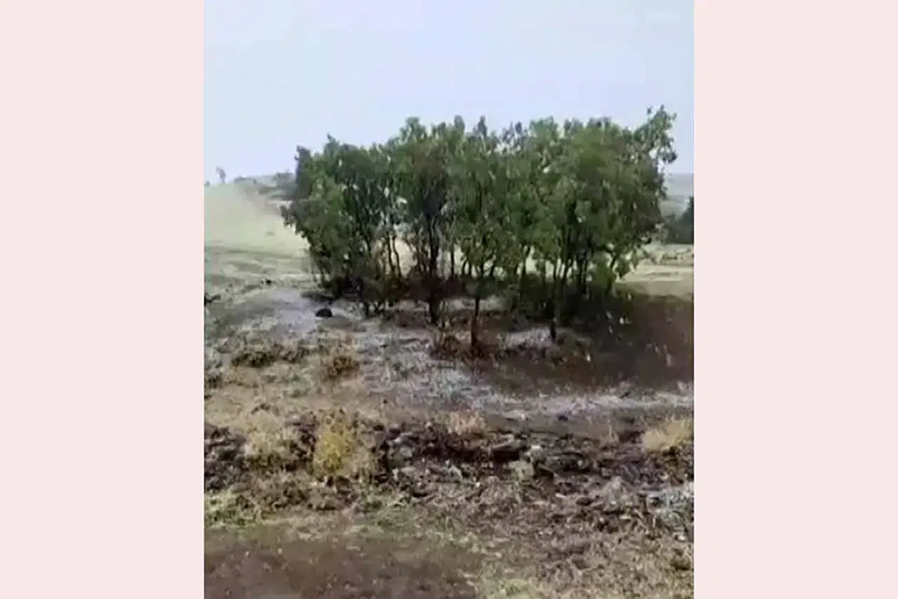 Aksaray'a mevsimin ilk karı yağdı