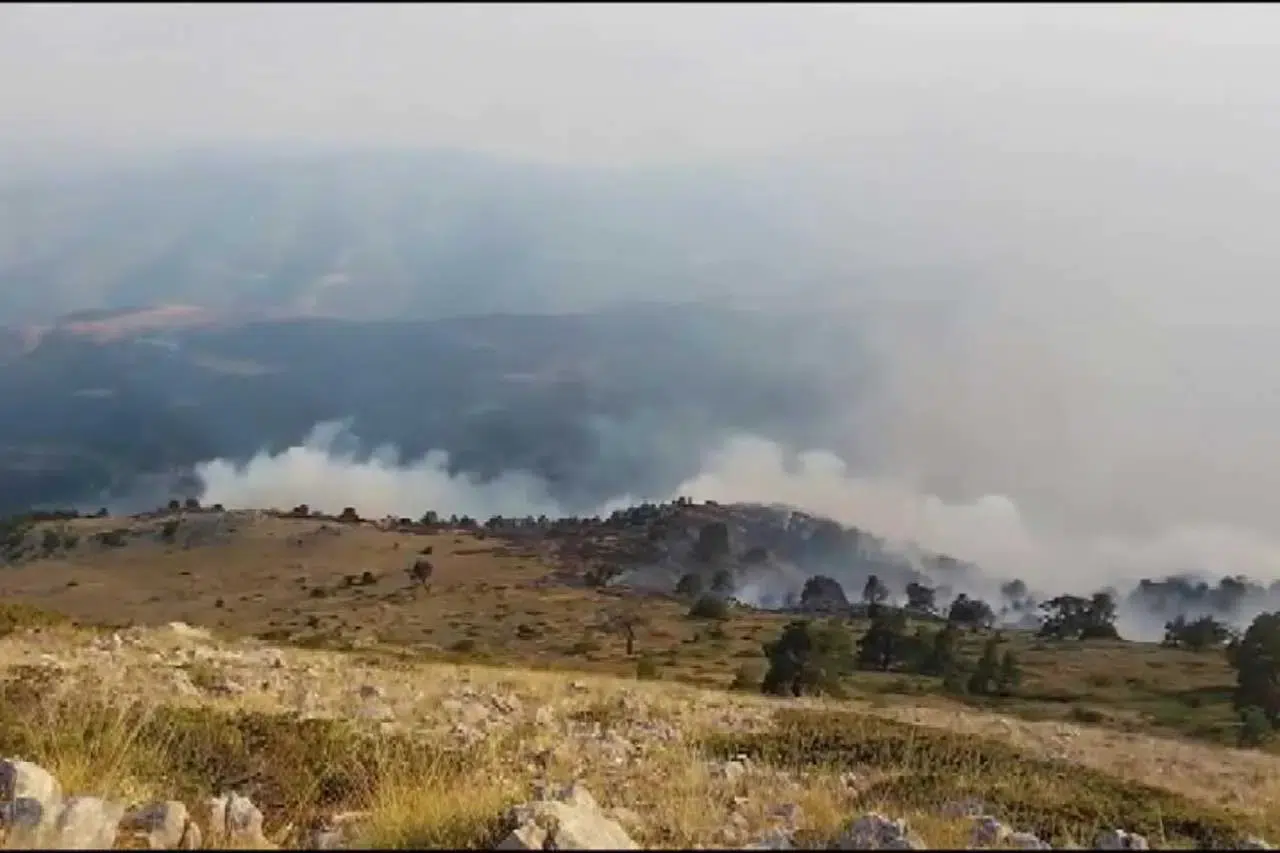 Köyler tehlikede! Vekilden yangın riski için acil çağrı