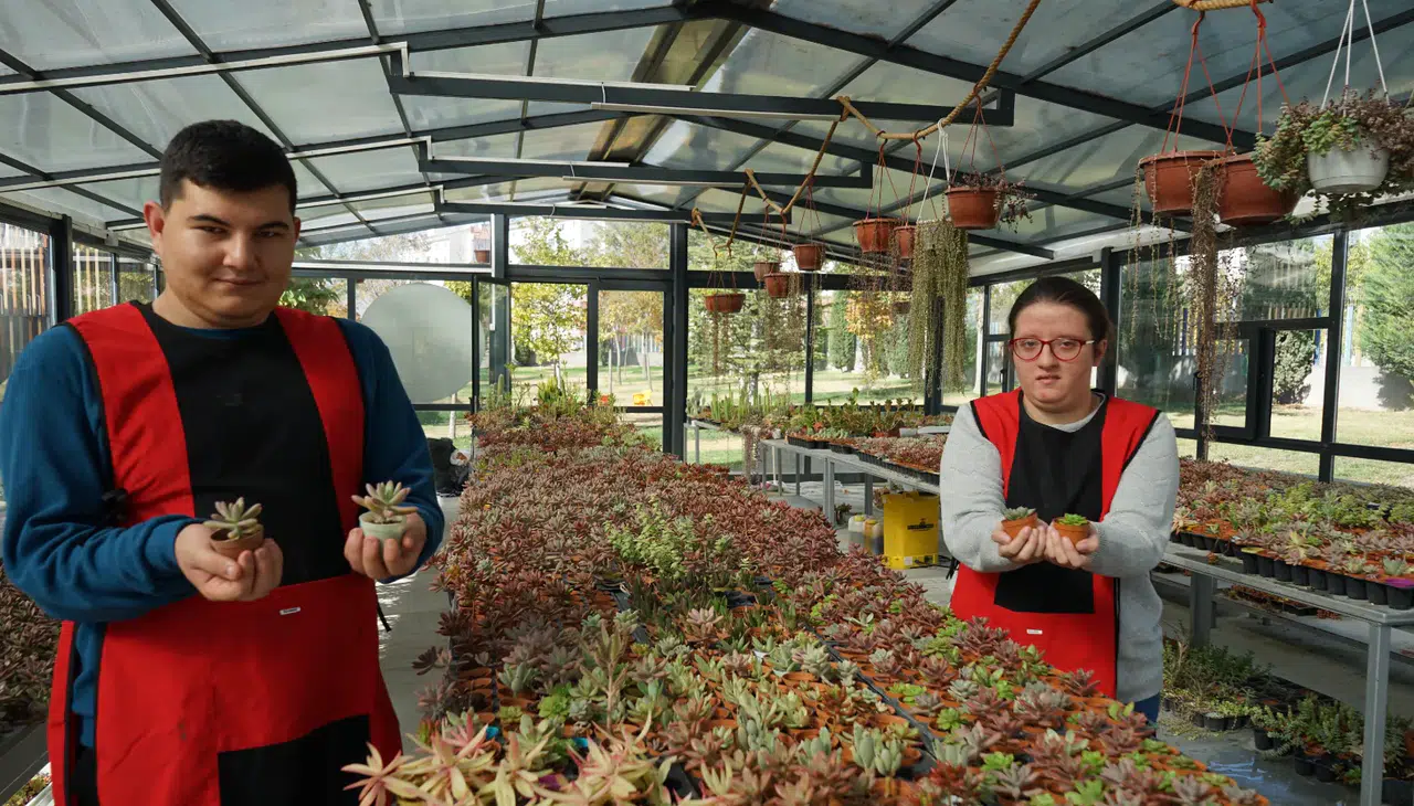 SOBE Vakfı’nın sukulent projesi, eğitim ve istihdamı bir araya getiriyor!