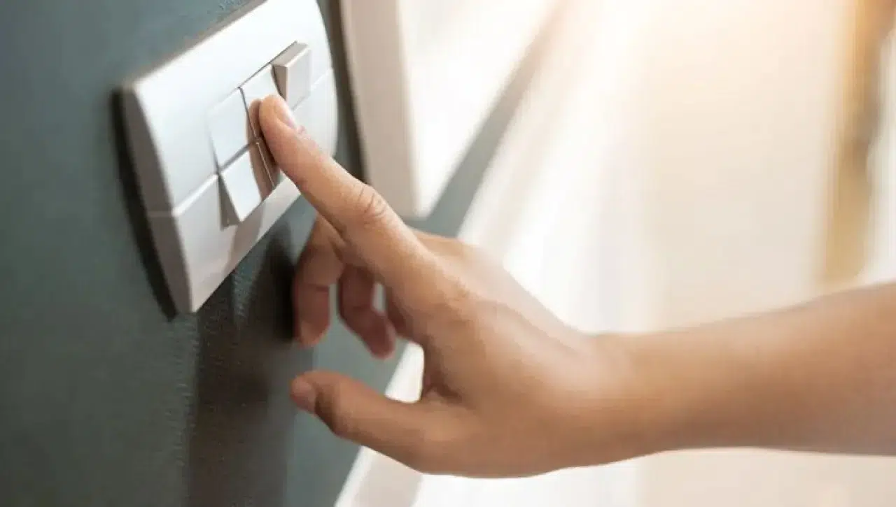 Elektrik Faturası Yüksek Gelenler Dikkat!  Bu Bitki Sayesinde Yarı Yarıya Tasarruf Mümkün